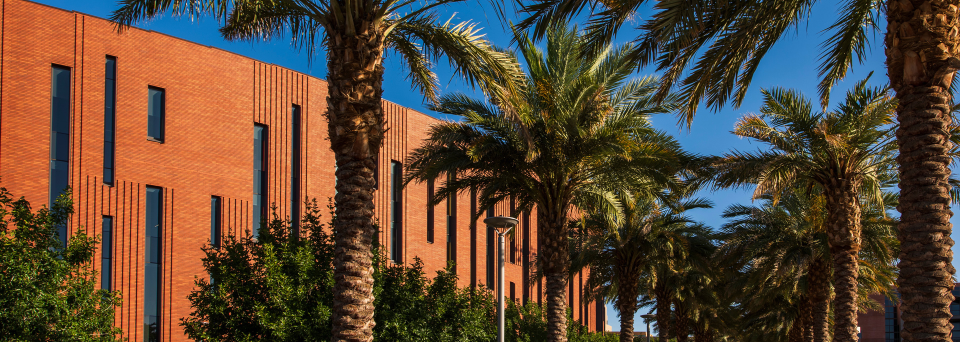 ASU Tempe campus